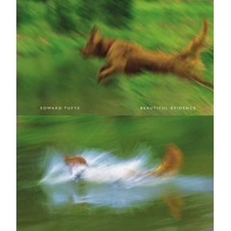 Beautiful Evidence(Edward R. Tufte)(Graphics Press 2006)