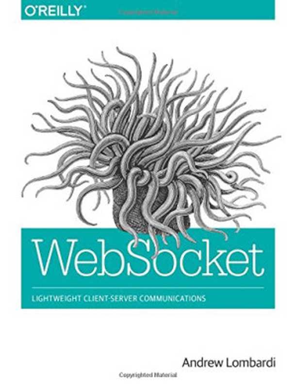 WebSocket: Lightweight Client-Server Communications(Andrew Lombardi)(O