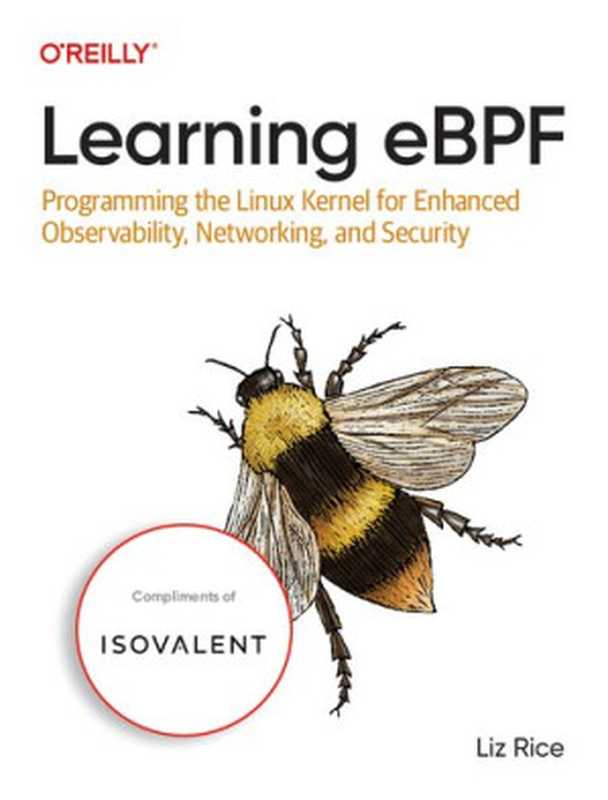 Learning eBPF(Liz Rice)(O