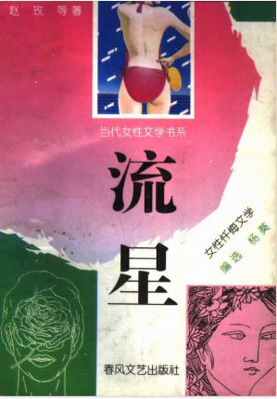 流星-女性忏悔文学(丁玲 戴晴 文洁华 方子 方方 王安忆 舒婷 赵玫 铁凝)