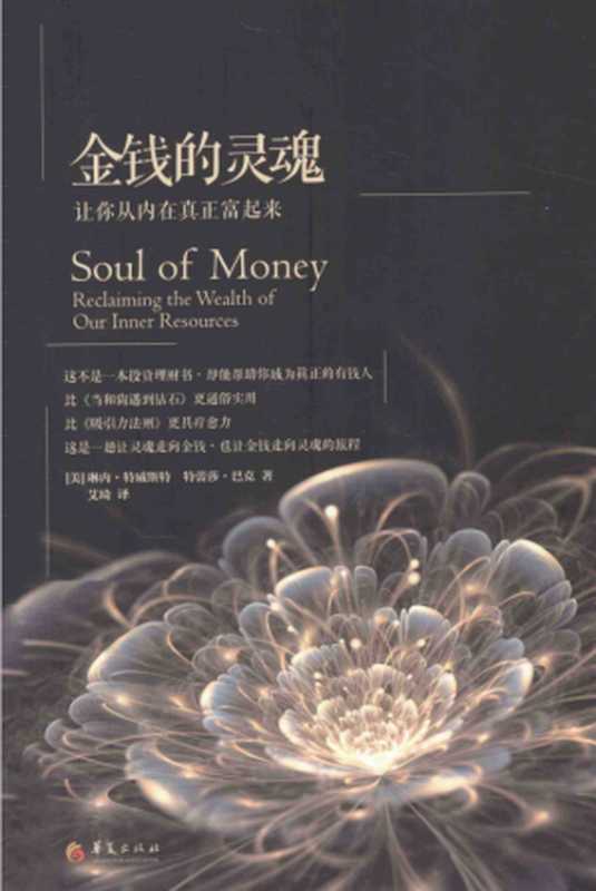 金钱的灵魂（[美]琳内•特威斯特   [美]特蕾莎•巴克  著 艾琦 译）（2014）