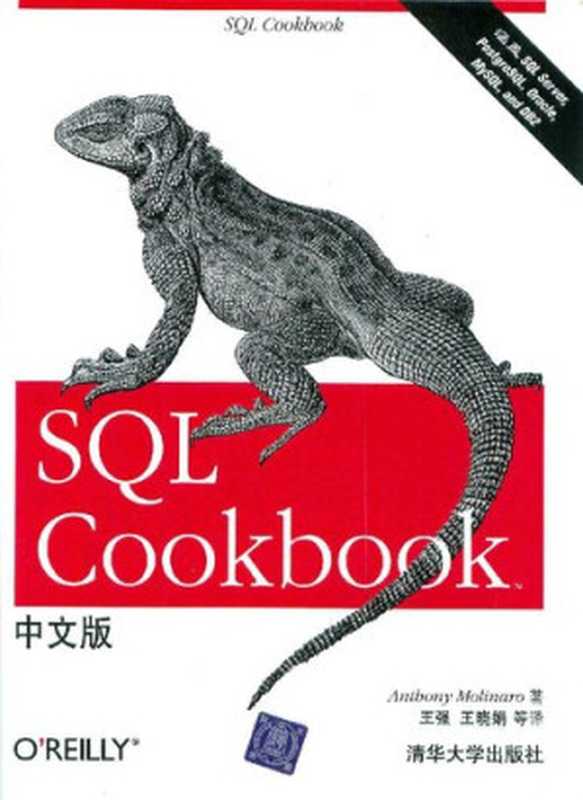 SQL Cookbook中文版(莫利纳罗 著)(清华大学出版社 2007)