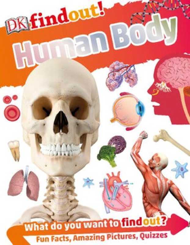 DKfindout! Human Body(Bipasha Choudhury)(DK Publishing 2017)