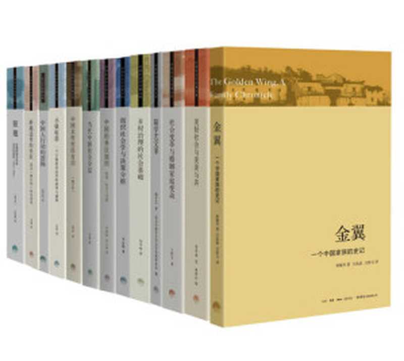 三联 中国社会学经典文库(13册)(费孝通; 贺雪峰; 林耀华; 李路路; 李汉林; 李强; 陆学艺; 李友梅; 王跃生; 吴毅; 项飙; 徐勇; 庄孔韶; 翟学伟)(生活·读书·新知三联书店 2020)