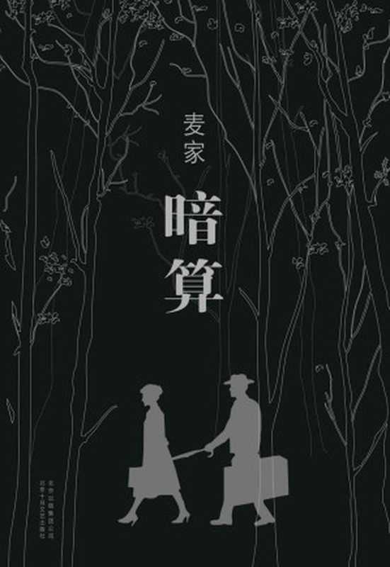 暗算(麦家)(北京十月文艺出版社 2014)