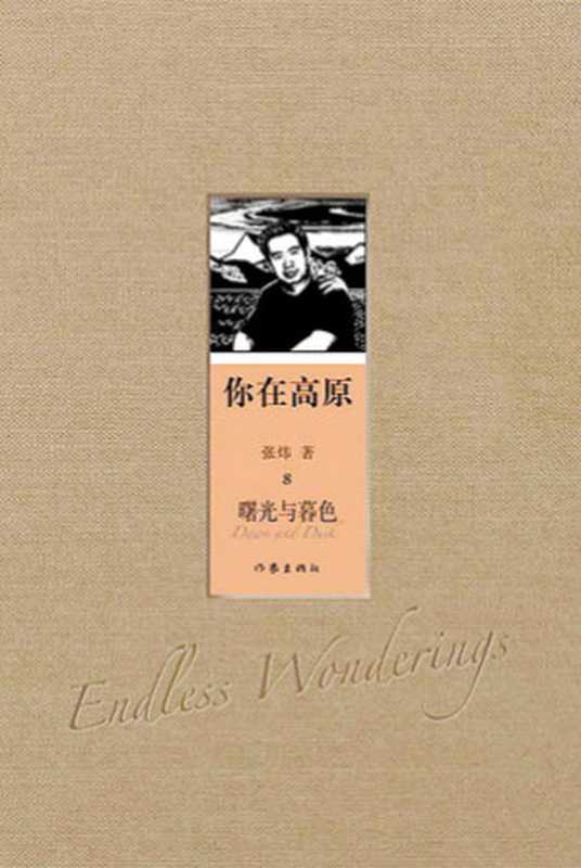第8届茅盾文学奖-你在高原(张炜)(epub掌上书苑 2016)