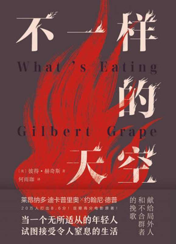 不一样的天空(【美】彼得·赫奇斯)