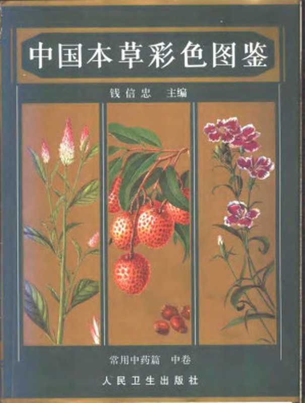 中国本草彩色图鉴 (中)（钱信忠）（1996）