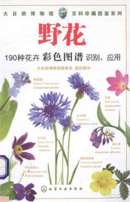 全民情敌(浪迹)