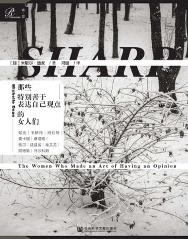 那些特别善于表达自己观点的女人们(米歇尔·迪安)(社会科学文献出版社 2020)