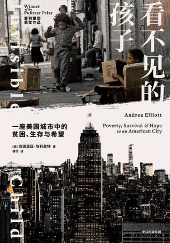 看不见的孩子(普利策奖获奖作品,“这本书比狄更斯更彻底,比奥威尔更绝望”。)(安德里亚·埃利奥特)(中信出版社 2023)
