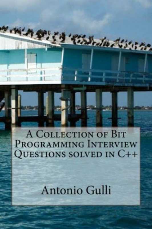 A Collection of Bit Programming Interview Questions solved in C++(Dr Antonio Gulli)(CreateSpace Independent Publishing Platform 2014)
