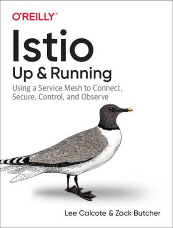 Istio: Up & Running: Using a Service Mesh to Connect, Secure, Control, and Observe(Lee Calcote, Zack Butcher)(O