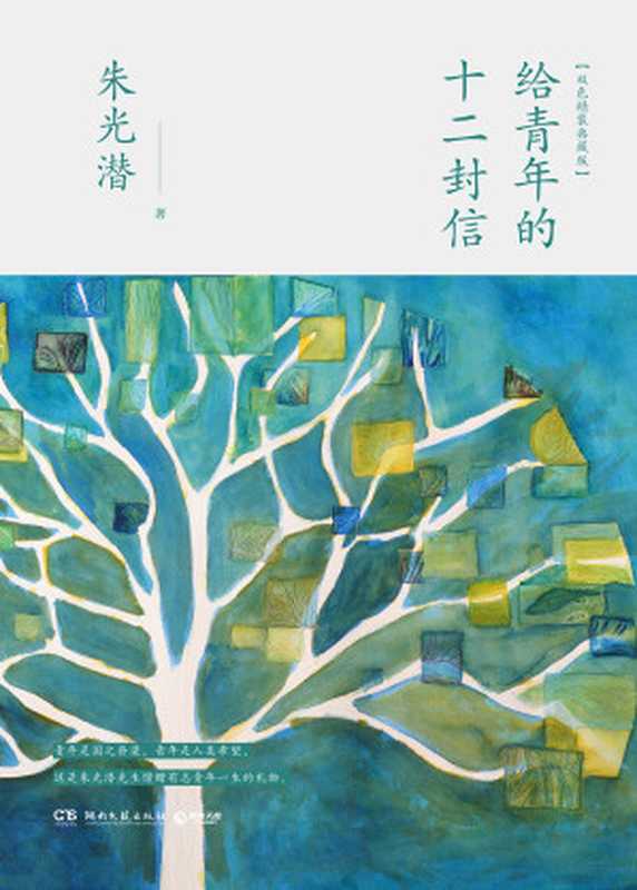 给青年的十二封信(朱光潜)(湖南文艺出版社 2018)