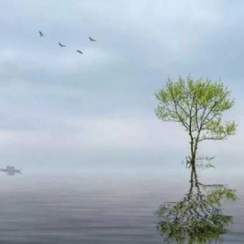 Rust 参考手册(it-ebooks)(iBooker it-ebooks 2021)