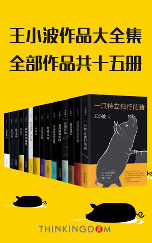 王小波真正大全集(15册,李银河独家授权,并亲自校订全稿。王小波逝世二十周年精装纪念版!特别收入从未面市的手稿及照片!)(王小波)(xjdcn 2018)