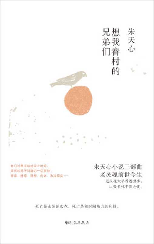 想我眷村的兄弟们(朱天心)(九州出版社 2018)