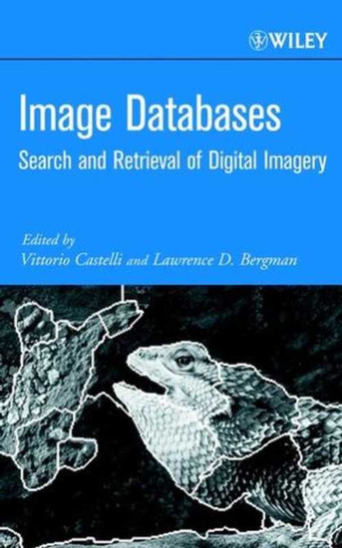 Image databases： search and retrieval of digital imagery（Vittorio Castelli， Lawrence D. Bergman (editors)）（Wiley 2001）