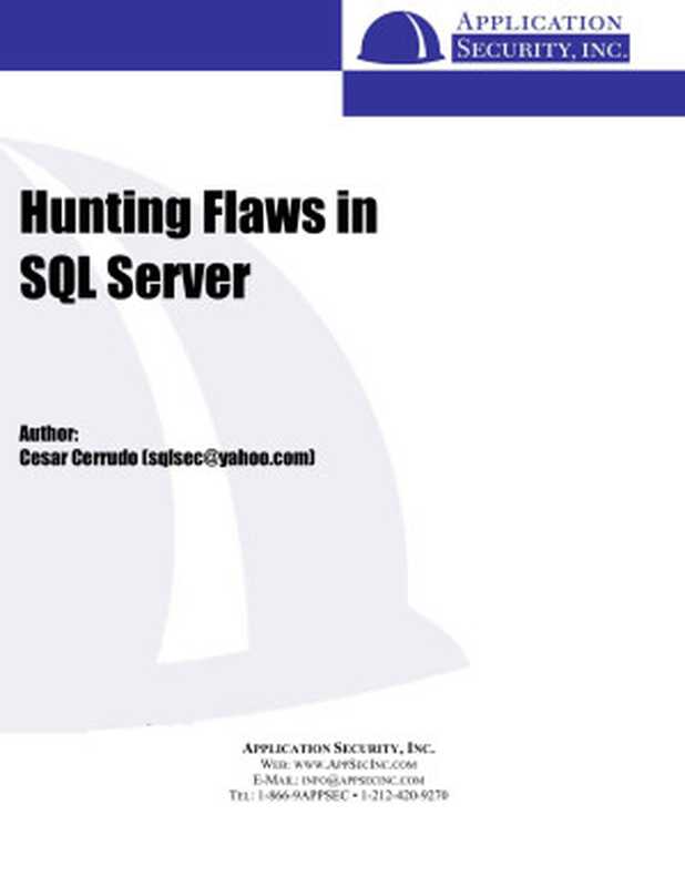 New SQL Injection Attacks on Microsoft SQL Server（Aaron Newman）
