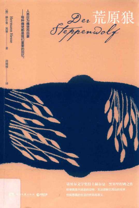 荒原狼（（德）赫尔曼·黑塞著；涂媛媛译）（湖南文艺出版社 2019）