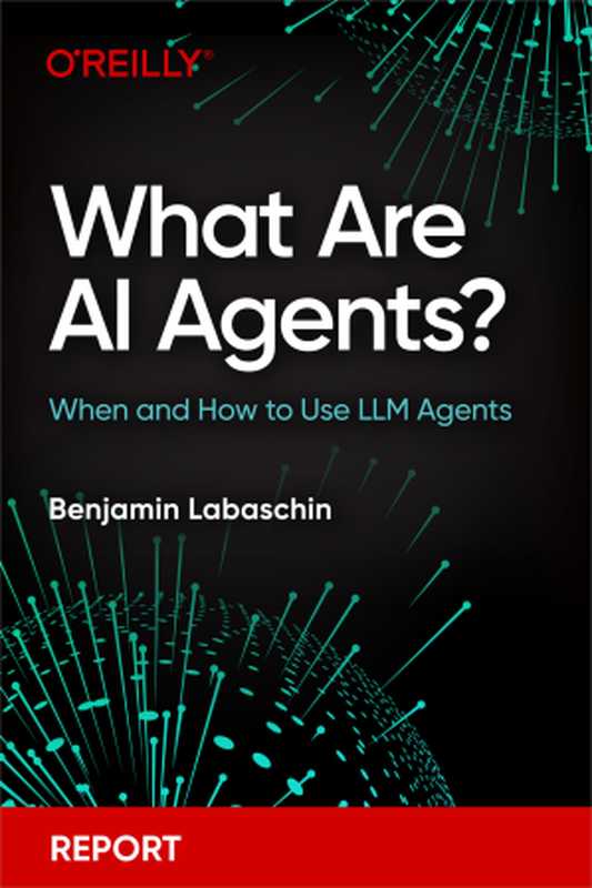 What Are AI Agents （Benjamin Labaschin）（O