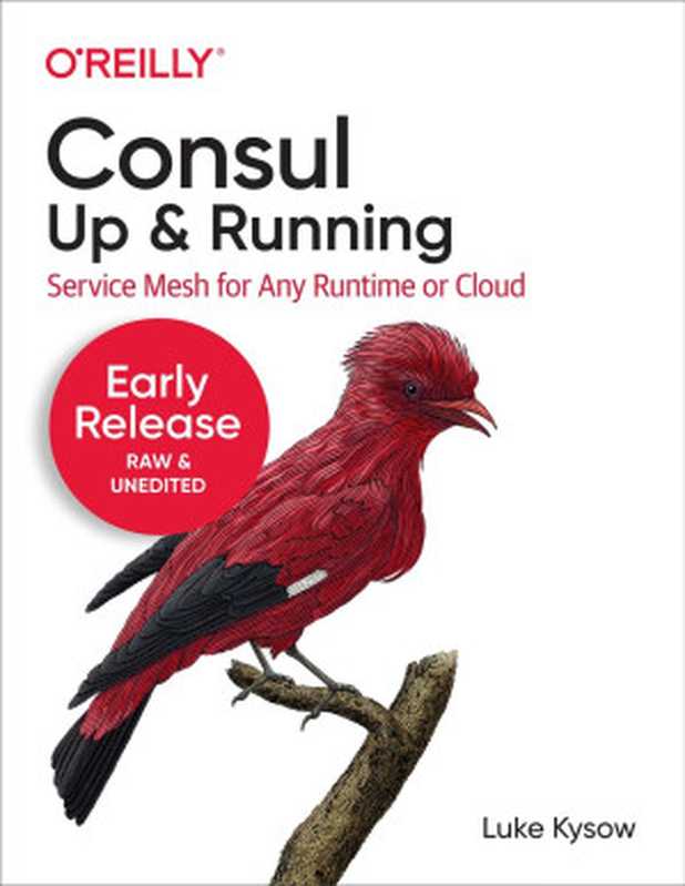 Consul: Up and Running (Fourth Early Release)(Luke Kysow)(O