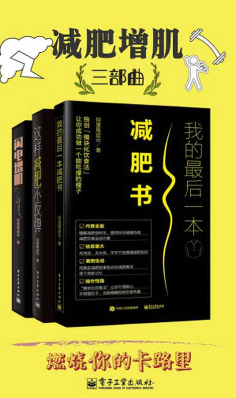 减肥增肌三部曲（仰望尾迹云）（电子工业出版社 2019）