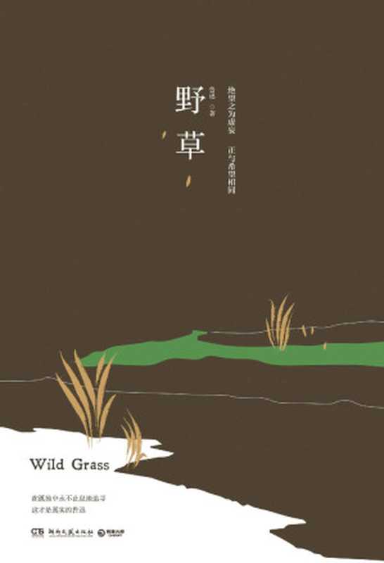野草(鲁迅说:“我一生的哲学都在《野草》里了。”中国现代文学之父鲁迅杂文精选,嘻笑怒骂皆成文章。)(鲁迅)(湖南文艺出版社 2019)