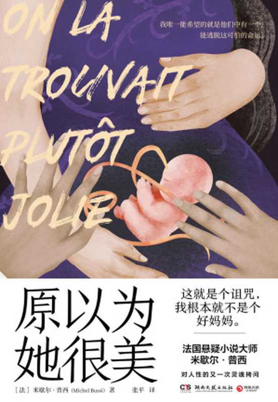 家庭与谋杀:原以为她很美(小心!千万不要被书名骗了!法国TOP3作家米歇尔·普西全新力作,法国年度热销书!社会派推理+叙述性诡计,从非洲难民营开始的犯罪故事)(【法】米歇尔·普西)(湖南文艺出版社 2022)