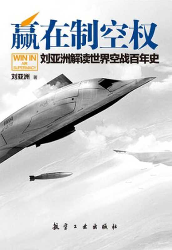 赢在制空权 刘亚洲解读世界空战百年史（刘亚洲）