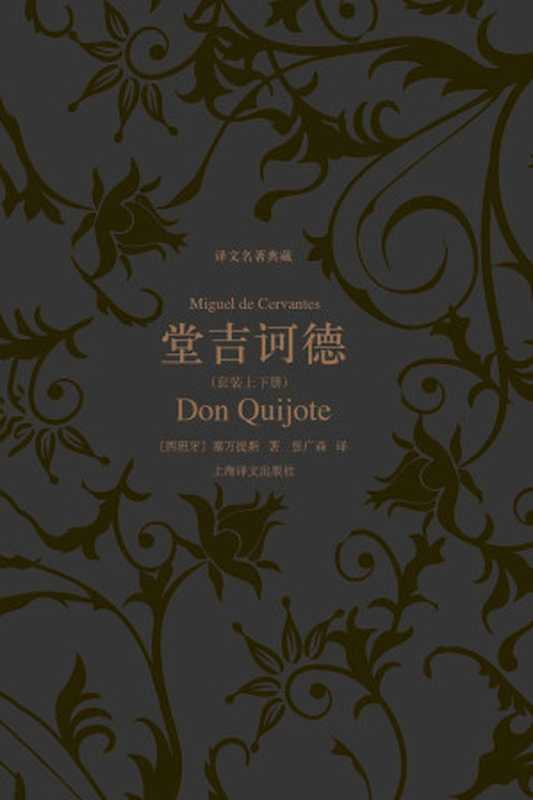堂吉诃德 (套装上下册) (译文名著典藏)(米盖尔·塞万提斯(Miguel de Cervantes))(上海译文出版社 2013)