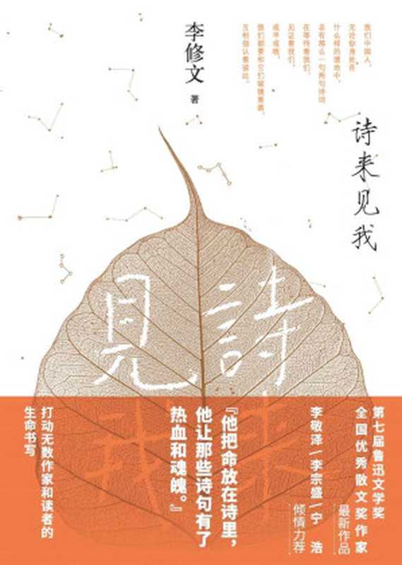 诗来见我(李修文)(人民文学出版社 2021)