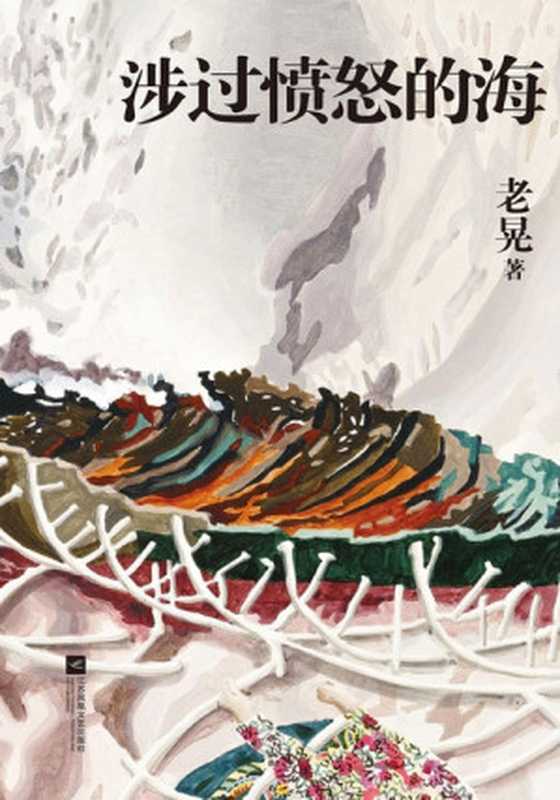 涉过愤怒的海(黄渤、周迅主演同名电影原著)(老晃)(anonymous 2023)