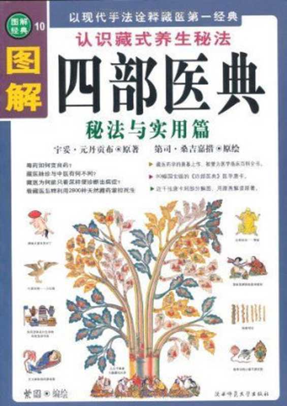 图解四部医典:秘法与实用篇(以现代手法诠释藏医第一经典)(宇妥·元丹贡布)(陕西师范大学出版社 2007)
