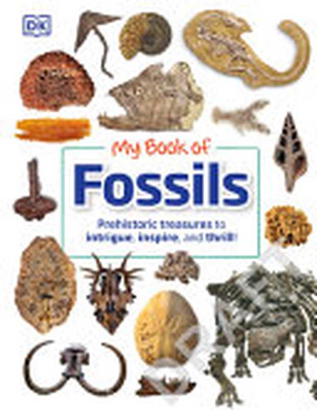 My Book of Fossils: A fact-filled guide to prehistoric life(DORLING KINDERSLEY LTD.)(DK Children 2022)