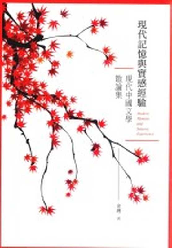 现代记忆与实感经验 现代中国文学散论集(金理著;蔡登山主编;韩晗丛书主编)(秀威资讯科技股份有限公司 2014)