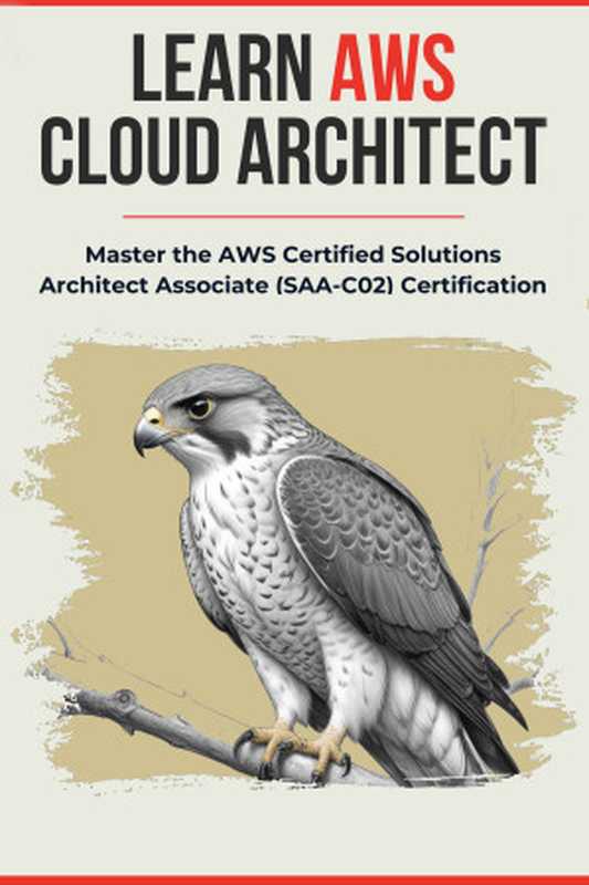 LEARN AWS CLOUD ARCHITECT: Master the AWS Certified Solutions Architect Associate (SAA-C02) Certification(Furuta Kimiko)(Furuta Kimiko 2024)