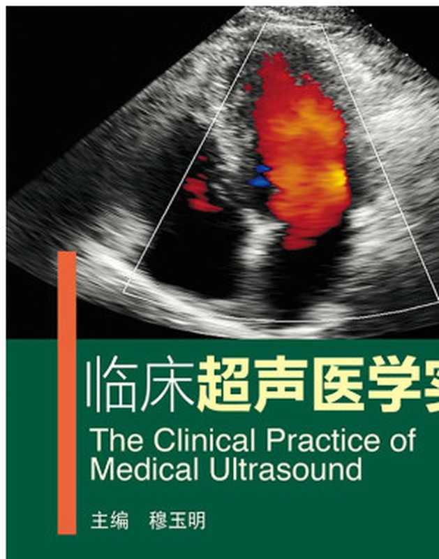 临床超声医学实践（穆玉明）（人民卫生出版社 2015）