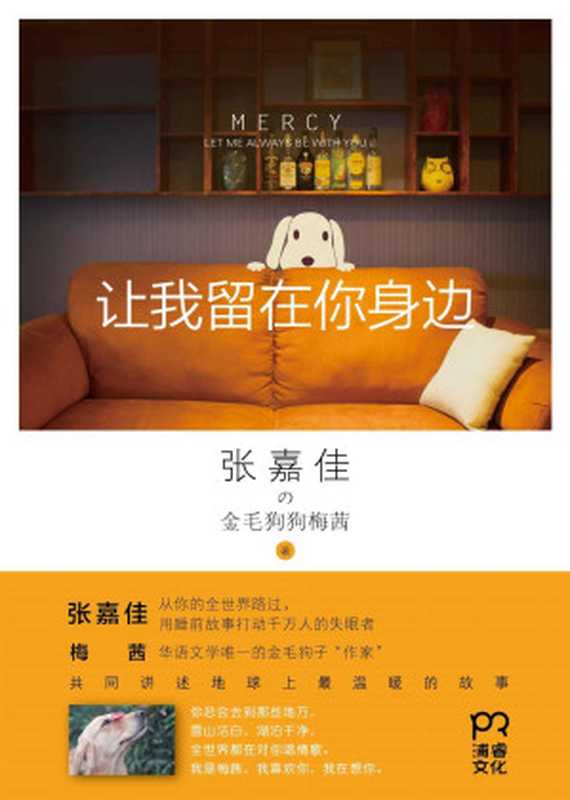 让我留在你身边（张嘉佳）（湖南人民出版社 2014）