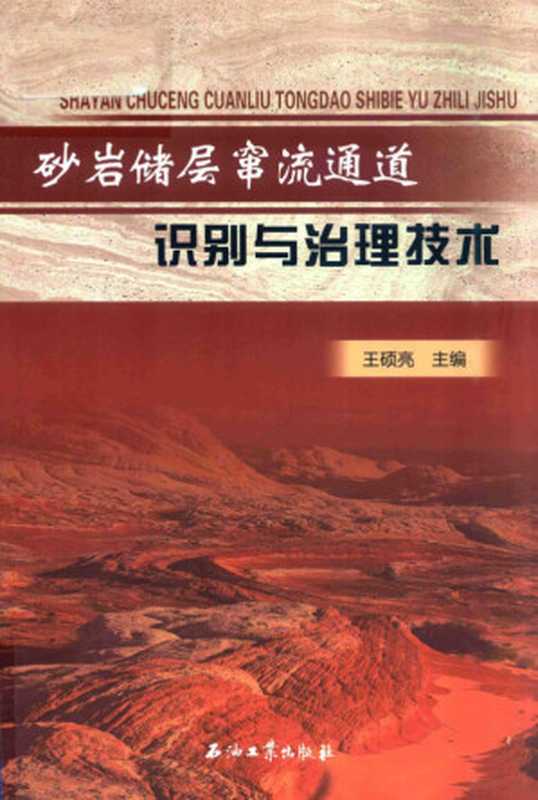 砂岩储层窜流通道识别与治理技术(王硕亮主编;付强,于春磊副主编, Shuoliang Wang, 王硕亮主编, 王硕亮)(北京:石油工业出版社 2016)