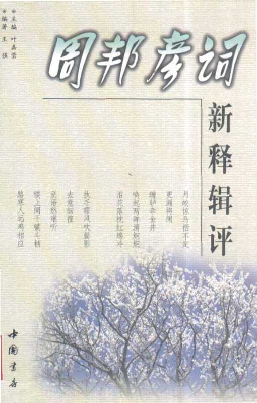 《历代名家词新释辑评》周邦彦词新释辑评（《历代名家词新释辑评》周邦彦词新释辑评）