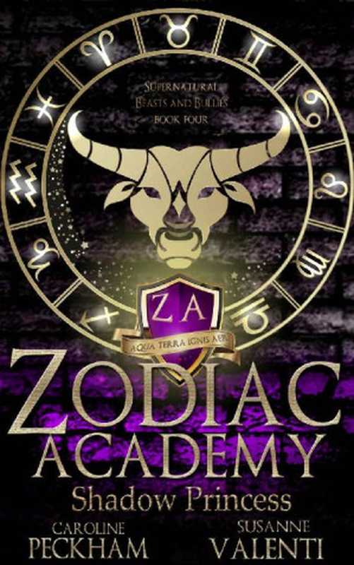 Shadow Princess (Zodiac Academy #4)(Caroline Peckham, Susanne Valenti)(Independently 2020)