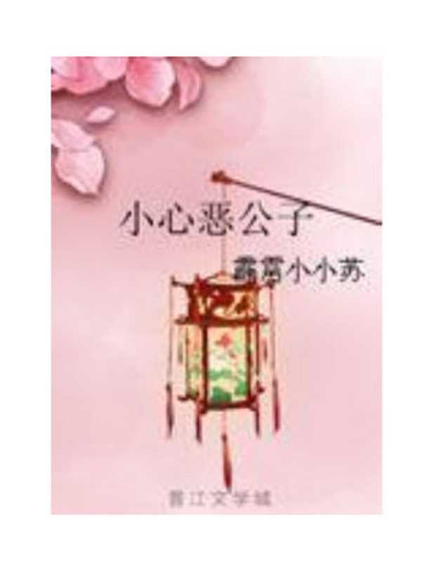 小心恶公子(霹雳小小苏)