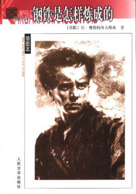 钢铁是怎样炼成的（尼.奥斯特洛斯基）（人民文学出版社 2003）