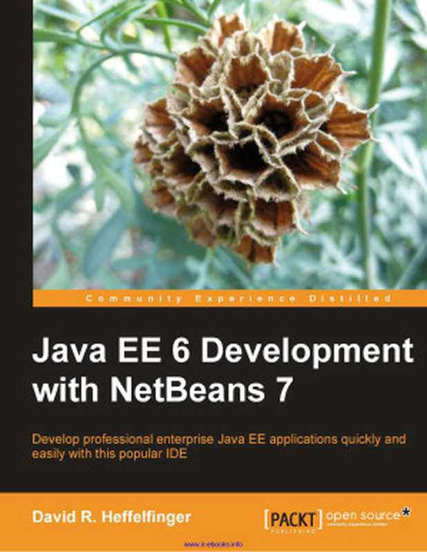 Java EE 6 Development with NetBeans 7(David R. Heffelfinger)(Packt Publishing 2011)