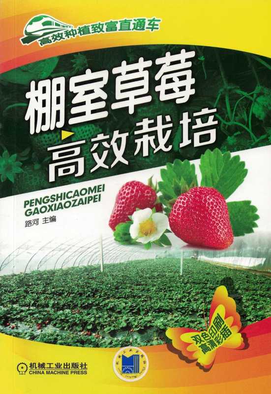 棚室草莓高效栽培.pdf(路河)(机械工业出版社 2018)
