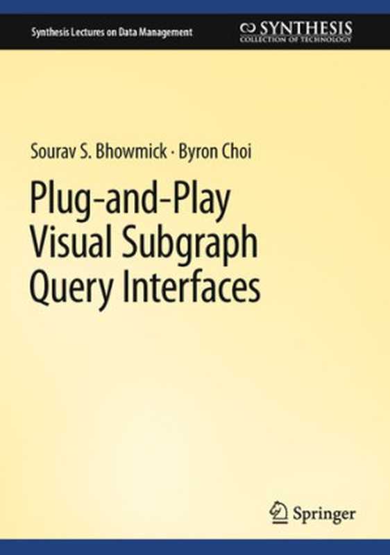 Plug-and-Play Visual Subgraph Query Interfaces（Sourav S. Bhowmick， Byron Choi）（Springer 2023）