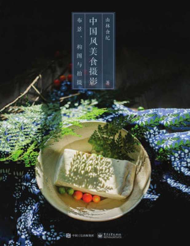 中国风美食摄影  布景构图与拍摄（山林食纪）（电子工业出版社 2018）