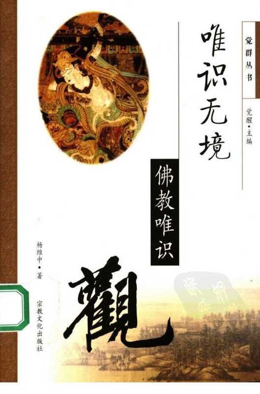 唯识无境 佛教唯识观（杨维中）