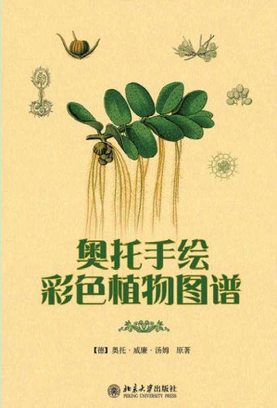 奥托手绘彩色植物谱(汤姆(德))(北京大学出版社 2011)
